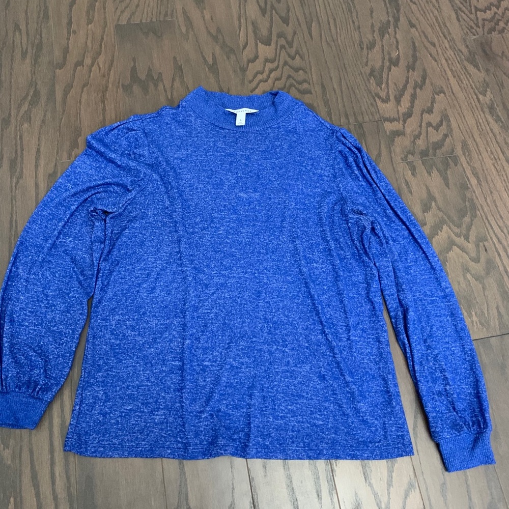 Popsugar blue sweater